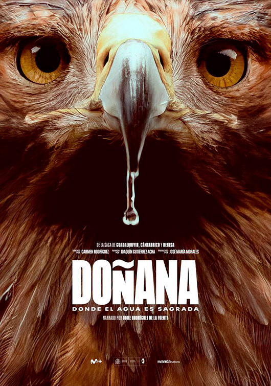DOÑANA. DONDE EL AGUA ES SAGRADA