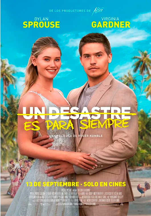UN DESASTRE ES PARA SIEMPRE